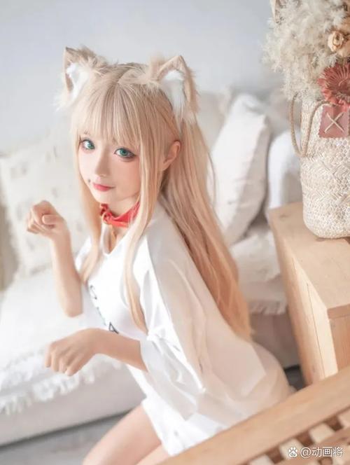 Coser1最新资源分享:我的下载经历与心得