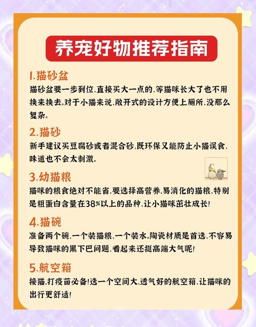 当你的猫咪游戏攻略：新手入门必看技巧分享