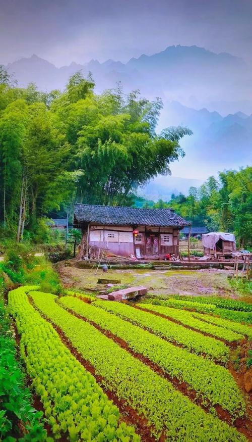 最受欢迎的乡间性活安卓游戏:玩家好评如潮