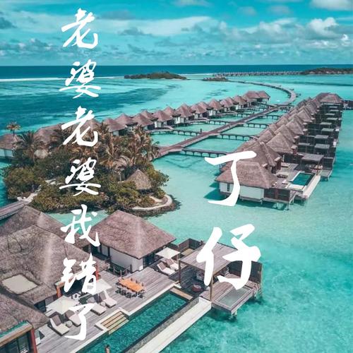 妻子历险记下载地址大全,告别下载难题