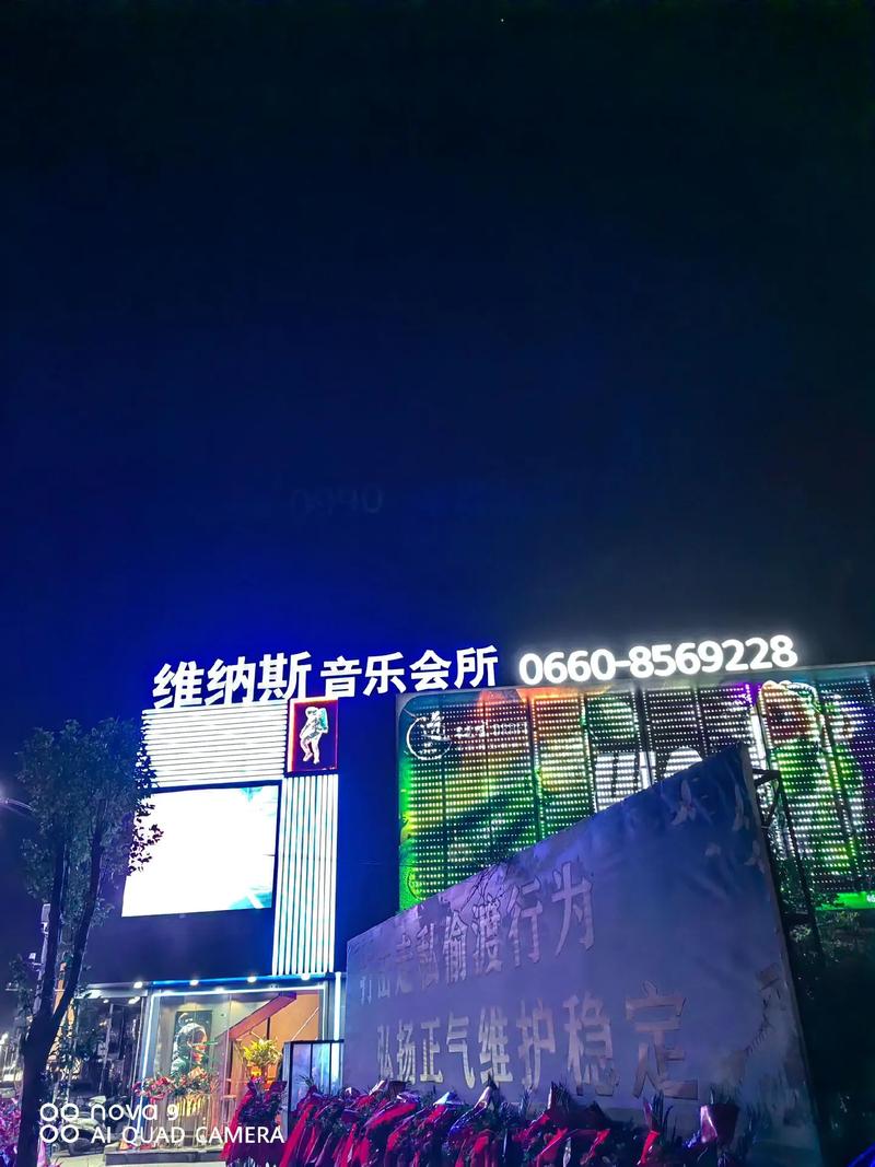 快速上手维纳斯俱乐部V0.9.5.1：完整下载安装流程分享