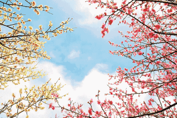 四季官网:了解四季动态,享受四季便捷服务