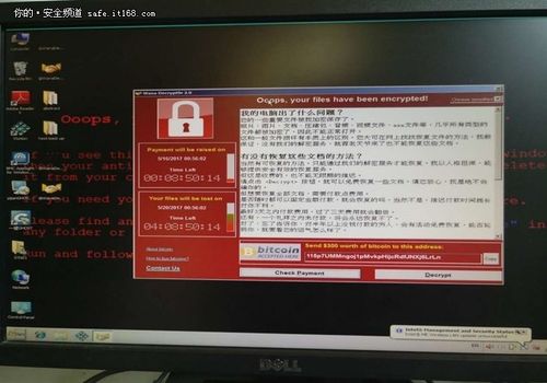 VAM纯净中文版官网入口：安全便捷下载无病毒