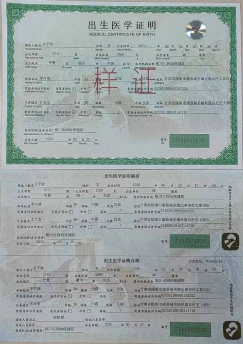 宝宝出生证明最新规定：你需要知道的都在这里