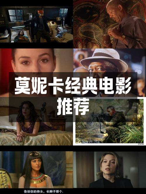 时尚女王莫妮卡第一季完结版如何下载?安全资源推荐!