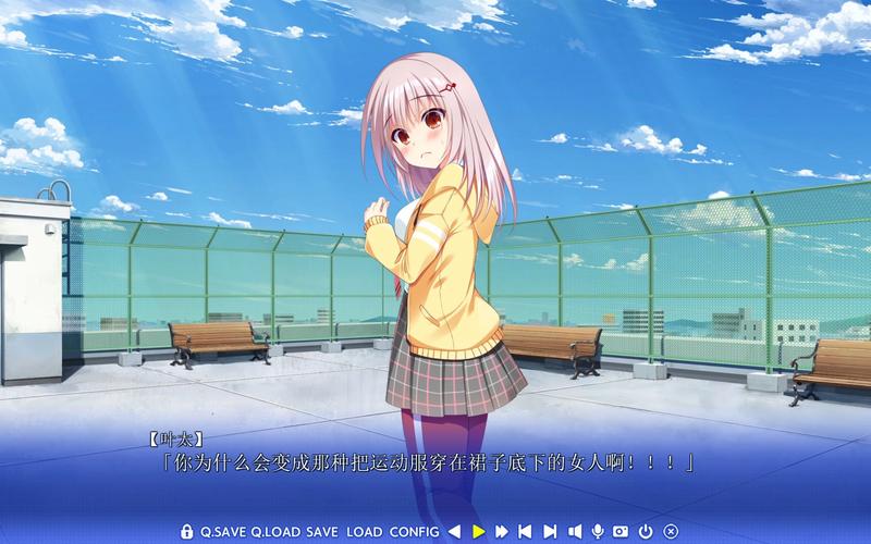 颜艺社合集安卓汉化推荐:让你笑到肚子疼的游戏