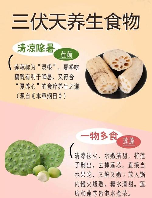 妹妹的夏日生活最新版本：避暑神器和消暑美食推荐，清凉一夏