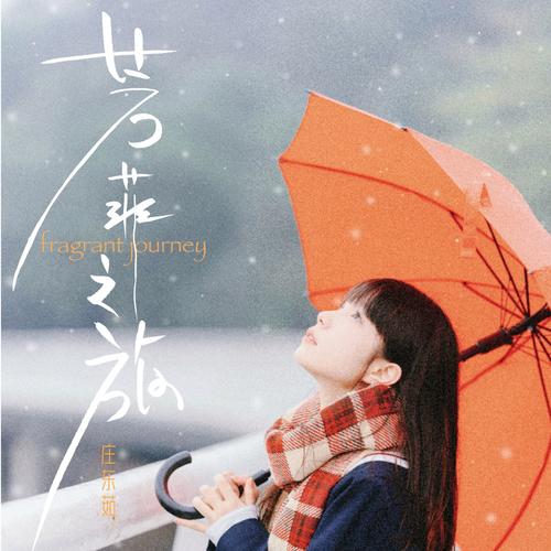 帮助脆弱的女性快速下载音乐，安全无忧