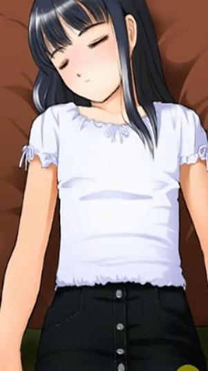 雪月花V1.5汉化版:最新更新内容深度解析