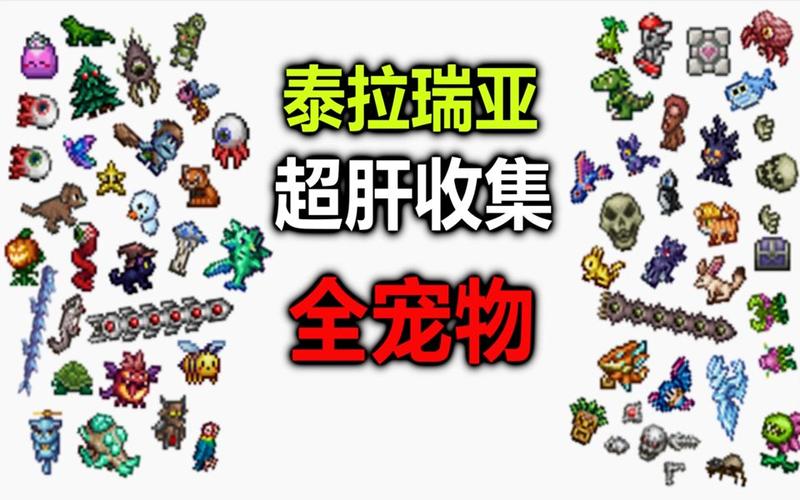 超好玩!宠物捕捉大师番外:杨过游戏体验分享