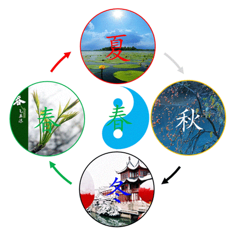 四季官网:了解四季动态,享受四季便捷服务