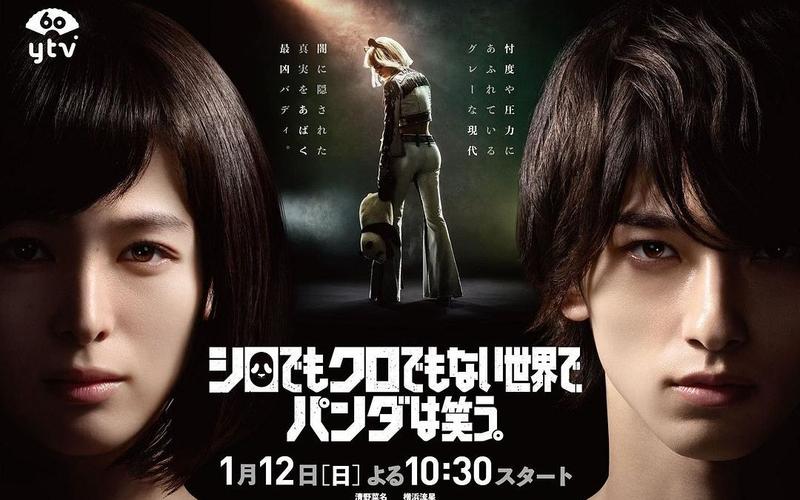 解开谜团:她是你的朋友吗?官方网站详细解读