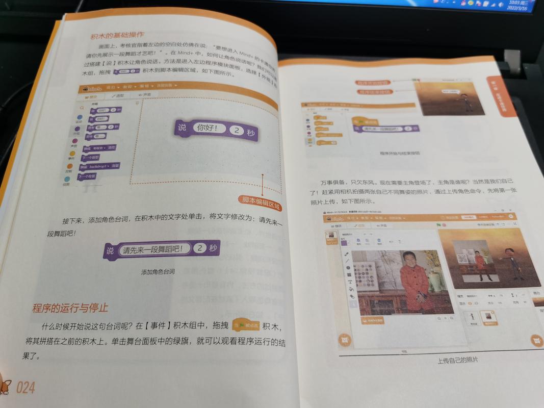 欢乐岛游戏攻略秘籍:玩转游戏,成为高手