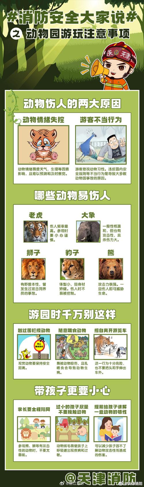 如何下载蓝宝石野生动物园最新版本？版本更新内容详解