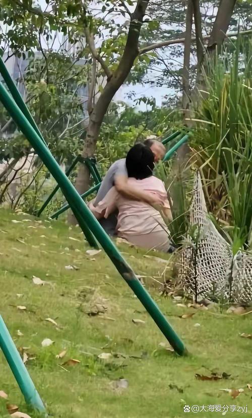 想知道激情公园最新版本？这里有你想要的答案！