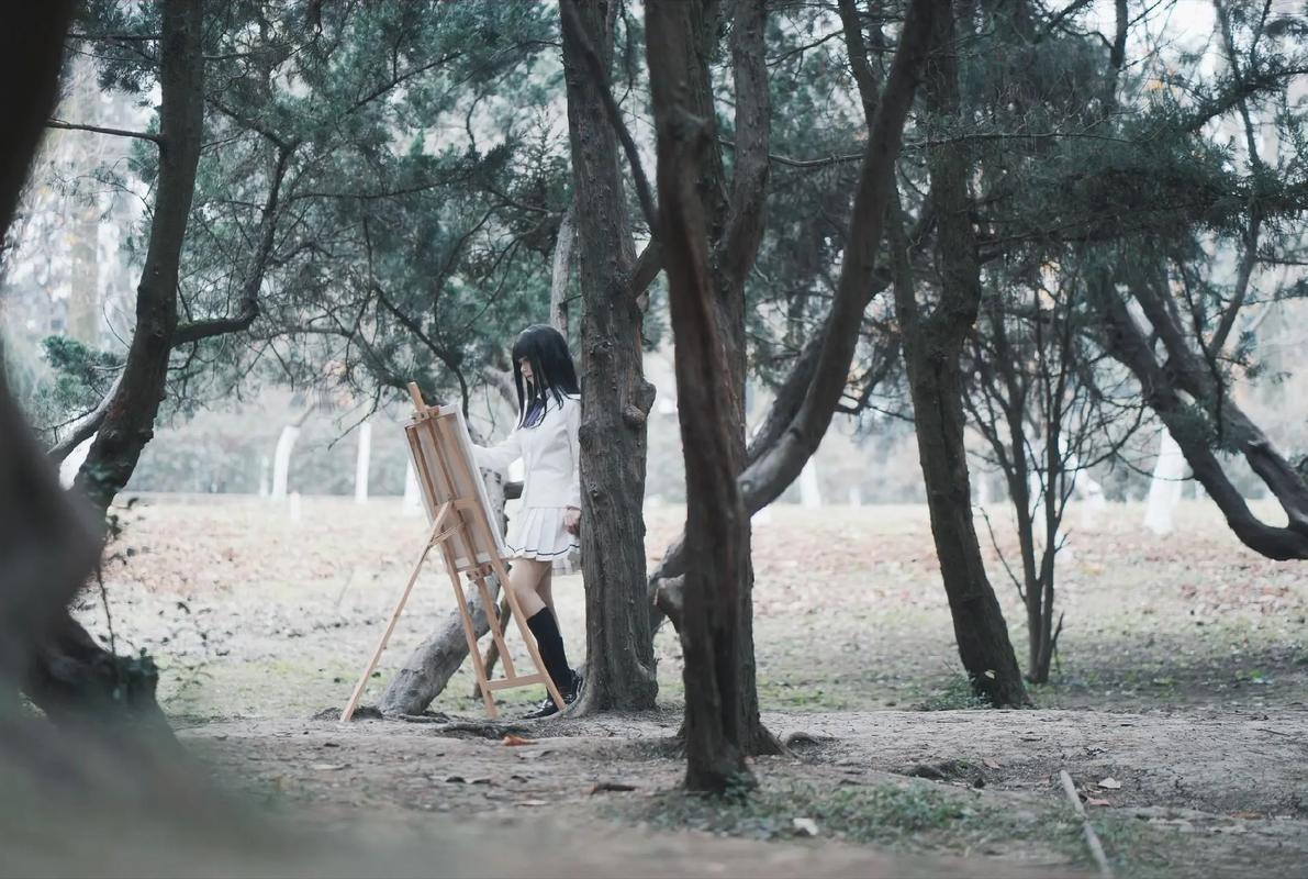 壳之少女三部曲版本大全：哪个版本最值得入手？