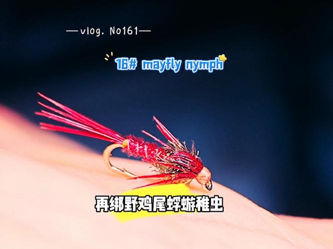 如何获取蜉蝣V0.2重制版最新版本？版本号及下载途径详解