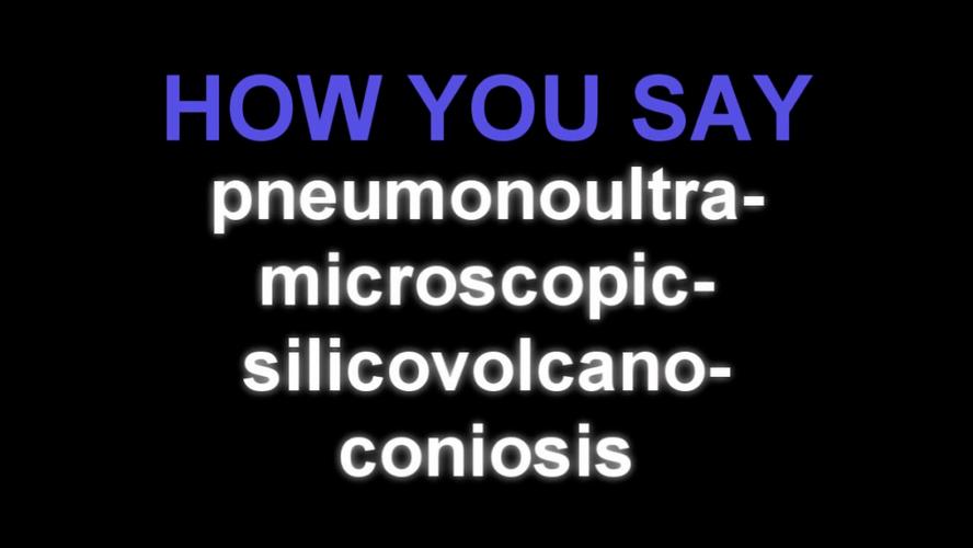 官方公布SiliconLust更新地址,别错过最新版本!