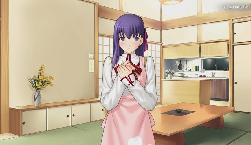 探索Fate DS绅士游戏世界：深度推荐与体验分享