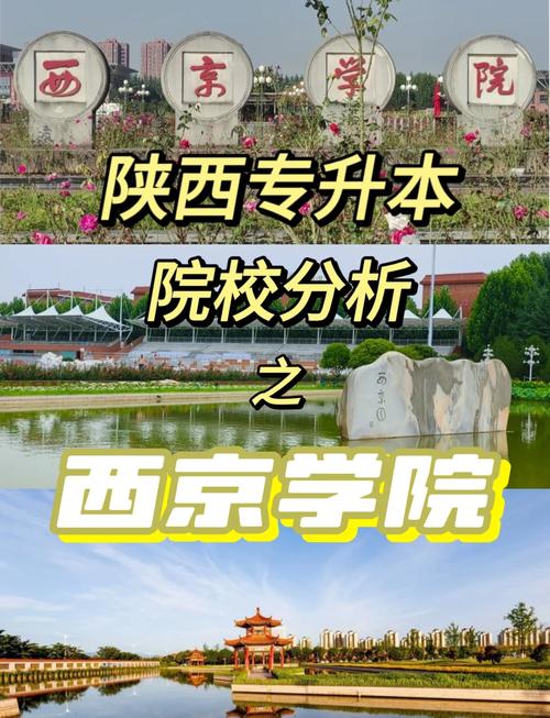 如何获取西景学院最新版本?版本更新内容详解