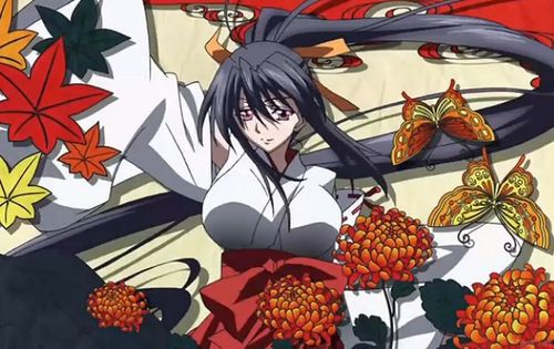 姬之岛如何下载?简单方法快速入手游戏