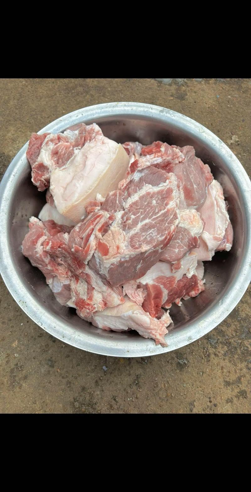 肉烂在锅里最新版本号是多少?带你一起回顾经典