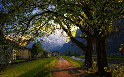 索尼娅的乡村生活下载地址分享:快速下载,轻松体验田园生活