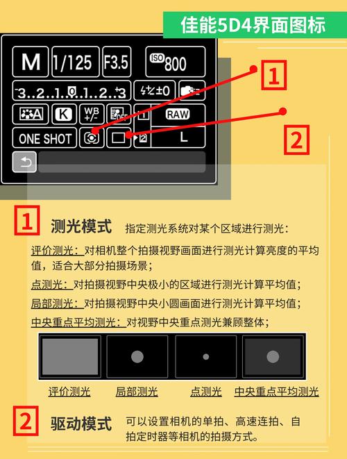 如何在视灵1安卓版中找到并使用5dm？