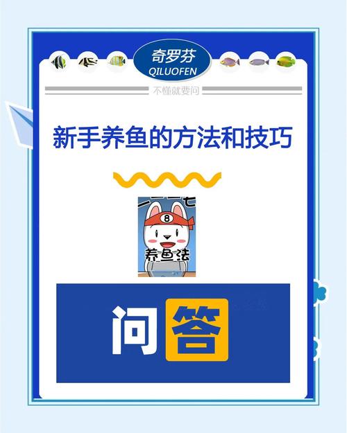 鱼子酱游戏攻略大全：新手快速上手技巧