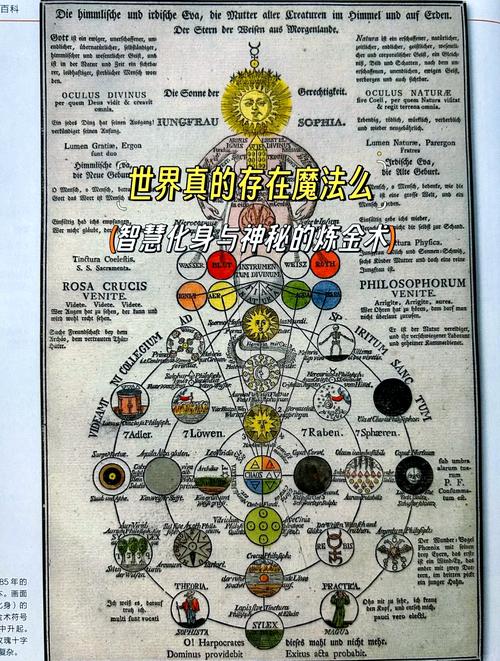 伊莱莎的秘药游戏官网入口:探索神秘魔法世界