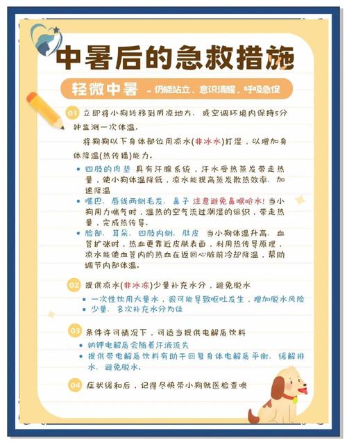 体感40度!最热的夏天更新地址及防暑小贴士