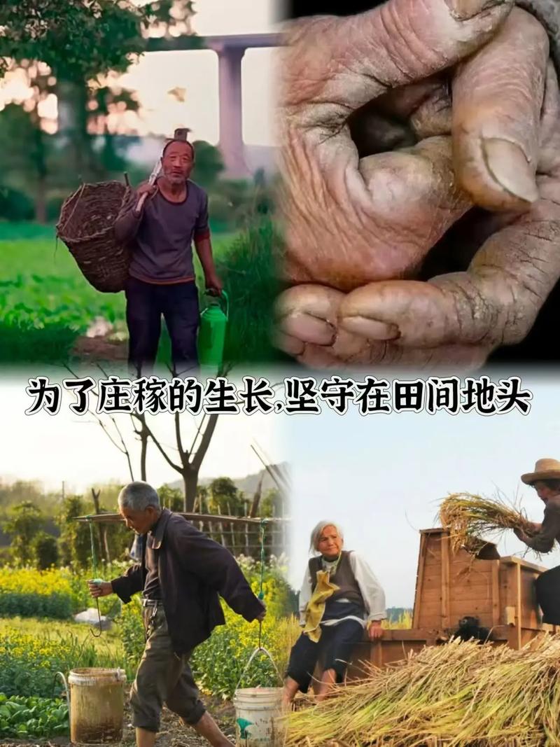 寻找你想要的农民的追求版本?大全来帮你!