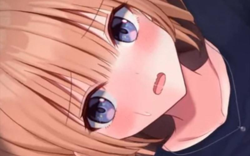 新婚妻子梅古游戏官网：最新版本更新内容及常见问题解答