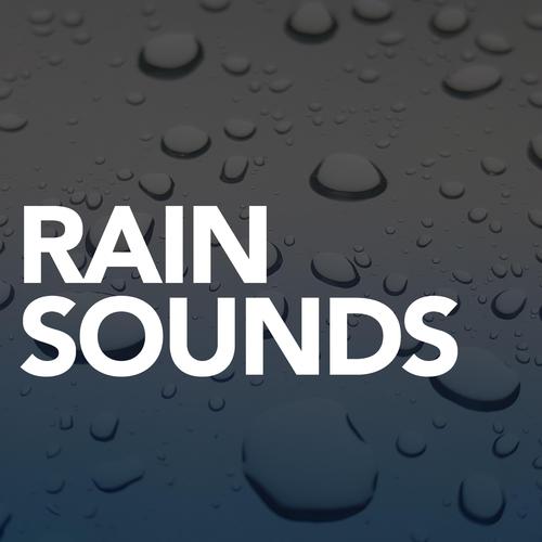 Rainnight雨更新地址在哪?最新资源下载方法分享