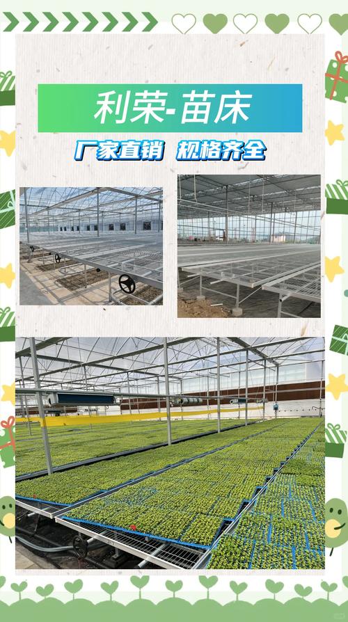 苗床圣女最新种植技术，助你轻松丰收圣女果