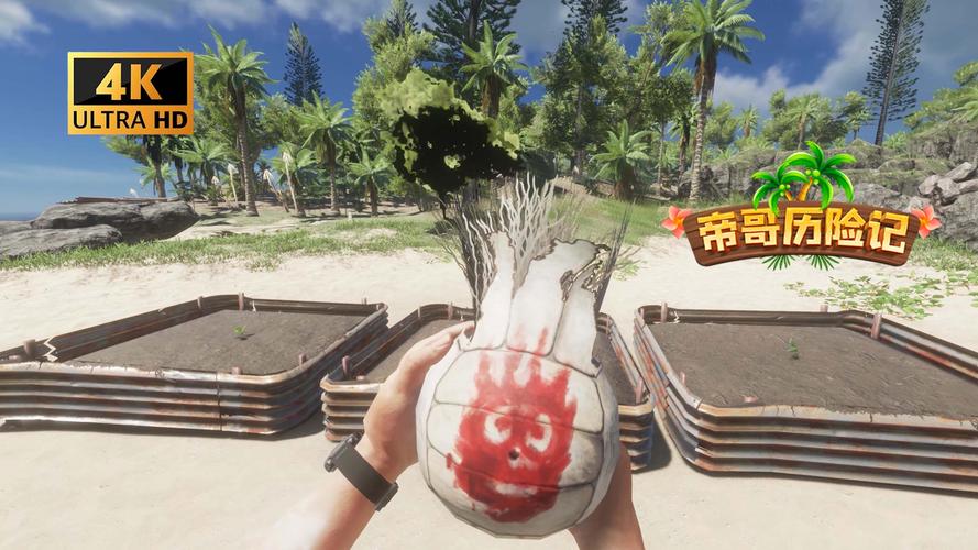 孤岛求生游戏官网：下载地址及游戏玩法详解