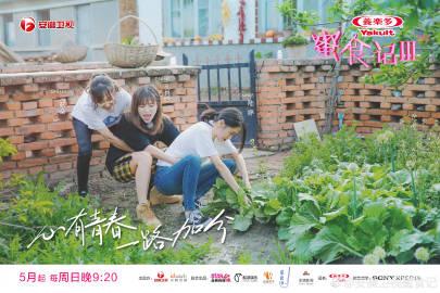 征服愿望版本大盘点:重温那些年玩过的版本