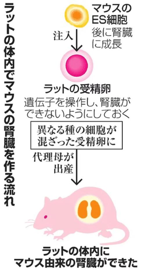 想玩世界之卵?这里提供下载地址和安装教程