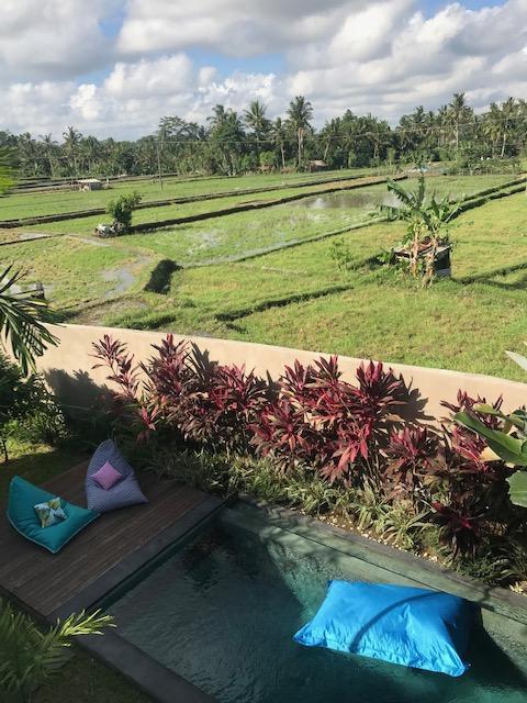 熟女天堂别墅游戏:官方正式版最新版下载地址分享