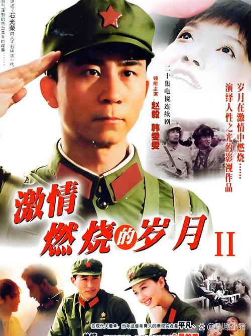 激情燃烧的岁月官网：演员阵容强大，剧情引人入胜