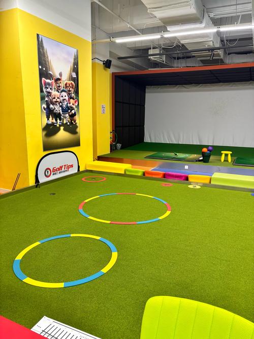 高尔夫棒球洞运动官网：从入门到精通的学习指南