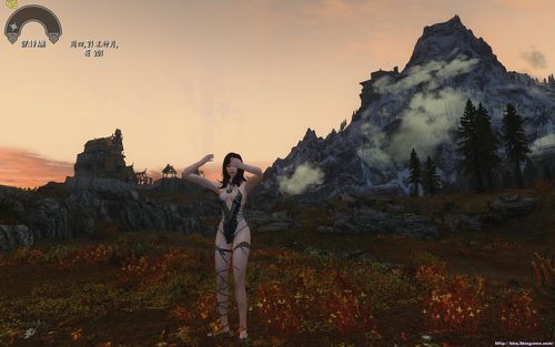 上古卷轴5安卓汉化包下载：玩转中文天际省