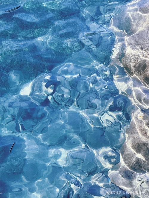 急需奴役的秘境更新地址?这篇攻略告诉你下载方法!