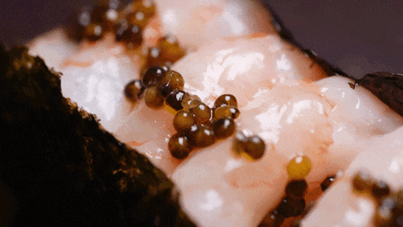 鱼子酱游戏攻略大全：新手快速上手技巧