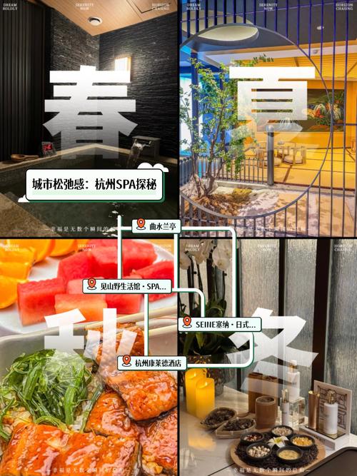 各版本我的都市生活体验：哪个更适合你？