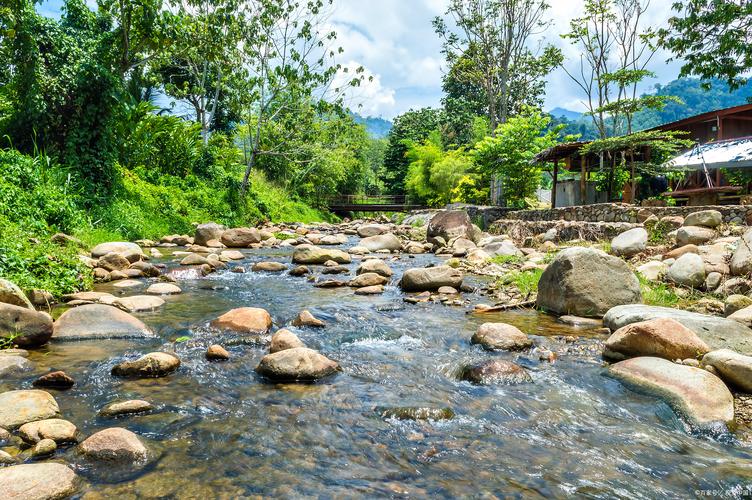 我的乡村生活官方网站:体验田园牧歌的悠然生活