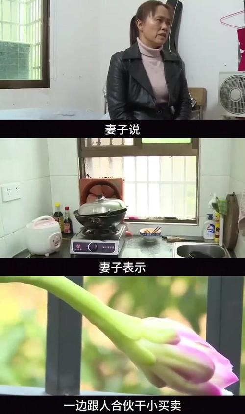 妻子的困境V0.66游戏官网地址：快速进入游戏，开始你的冒险