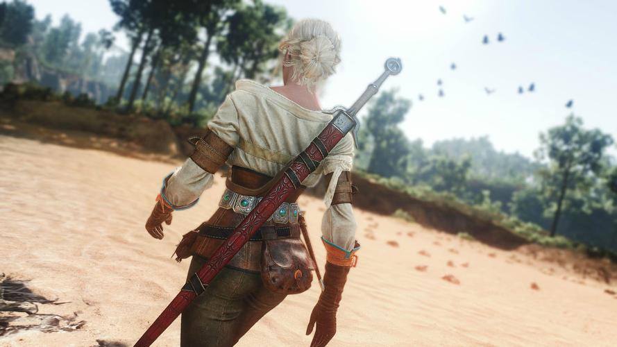 巫师3狂猎魔改版汉化版:最新内容大揭秘!