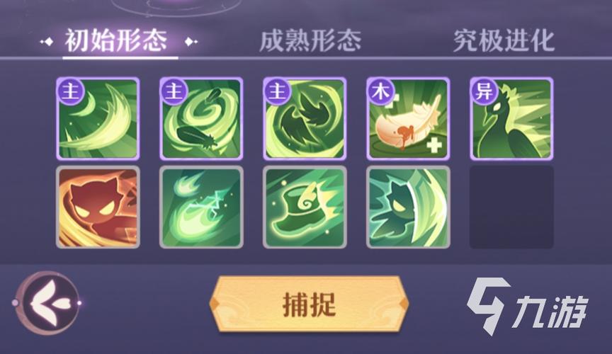 欲望岛ACG游戏深度解析:杨过角色养成攻略详解!