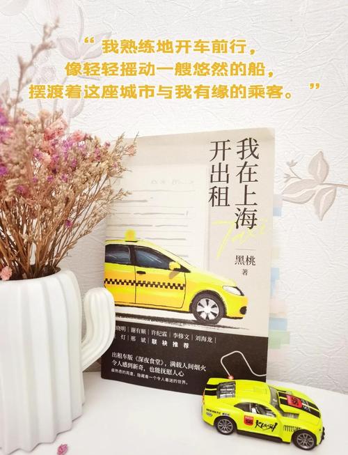 出租车司机最新版本详解:从新手到老司机的进阶之路!